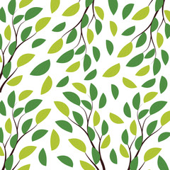 Nature leaves pattern illustrations