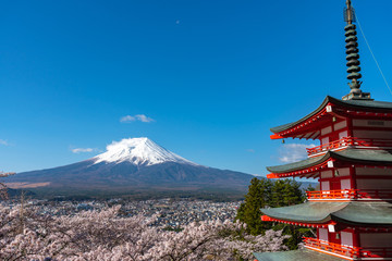 Mount Fuji viewed from behind Chureito Pagoda in full bloom cherry blossoms springtime sunny day in clear blue sky natural background. Arakurayama Sengen Park, Fujiyoshida, Yamanashi Prefecture, Japan