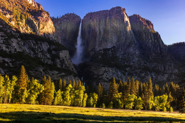 Yosemite falls and meadow