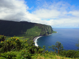 Waipiʻo Valley Lookout