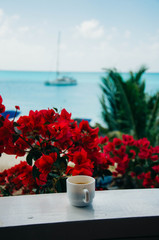 Cup of coffee standing on the window sill with the tropical sea at background
