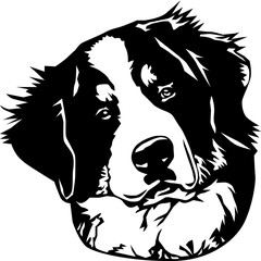 Bernese Mountain Dog Vector Illustration - obrazy, fototapety, plakaty