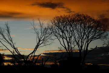 Fototapeta premium amanecer