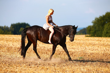 Horse with rider (woman) on a summer evening gallops over a harvested cornfield, wearing only a...