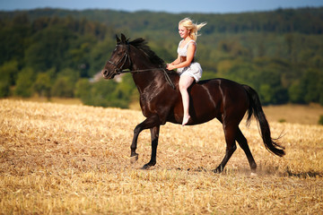 Horse with rider (woman) on a summer evening gallops over a harvested cornfield, wearing only a...