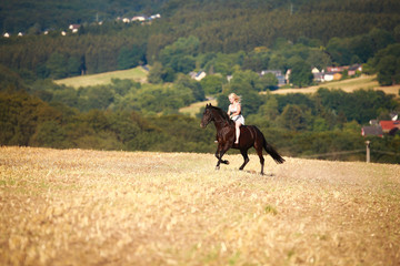 Horse with rider (woman) on a summer evening gallops over a harvested cornfield, wearing only a...