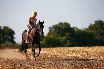 Horse with rider (woman) on a summer evening gallops over a harvested cornfield, wearing only a...