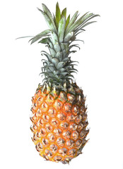 A pineapple on white background. Isolated