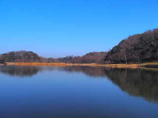 早春の21世紀の森と広場の公園風景