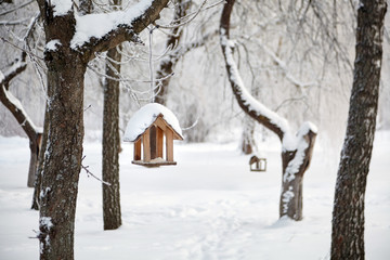 Winter bird feeder hanging on a tree in a snowy park