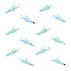 トビウオの模様