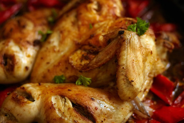 Сhicken with red pepper harissa sauce