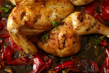 Сhicken with red pepper harissa sauce