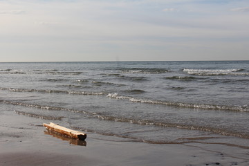 Holz in der Ostsee
