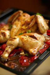 Сhicken with red pepper harissa sauce