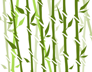 Bamboo forest set. Nature Japan, China. Plant Green tree with leaves. Rainforest in Asia.