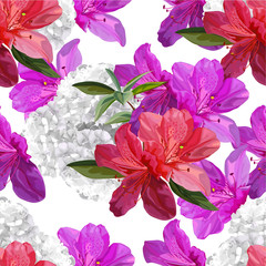 Floral seamless pattern with azalea and hydrangea vector illustration