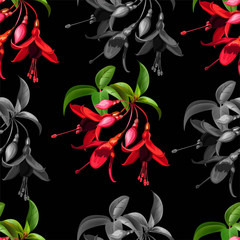 Floral seamless pattern with funchsia vector illustration