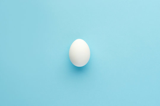 White natural egg on blue background