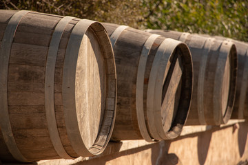 Wine barrels in an alley, Ensenda , wine country of Mexico, Valle de Guadalupe