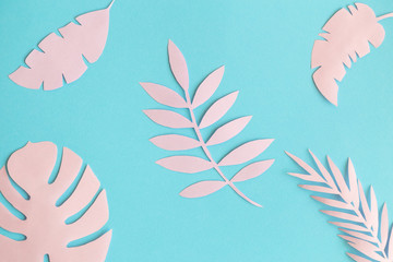 Flat lay of leaves abstract on pastel blue background summer concept.