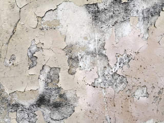 grungy wall Great textures for your design