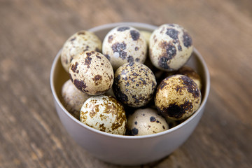Obraz premium Quail eggs . soft focus
