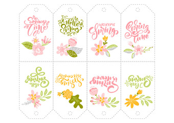 Fototapeta na wymiar Set of Spring flower herbs tags with calligraphic lettering text. Flat abstract Vector garden frame, woman day romantic holiday, wedding invitation card decoration element summer floral Illustration