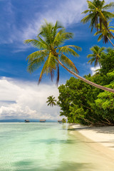 Naklejka na ściany i meble Beautiful beach. View of paradise tropical beach with coconut palms