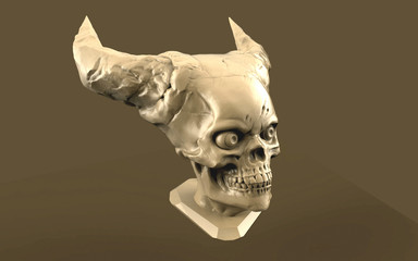 skull isolated on white background