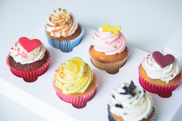 decorated cupcakes with strawberry, vanilla, caramel and chocolate frosting