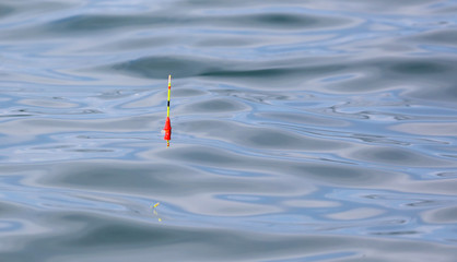 Float for fishing floats on the surface of the water © schankz