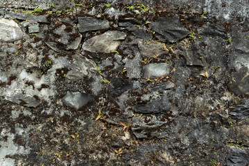 very old stone fence overgrown with moss and plants