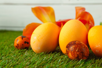 Easter Eggs with flower on Green Grass