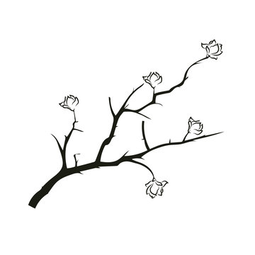 Branch with flowers. Beautiful stencil for design. The object is isolated on a white background. Vector illustration.