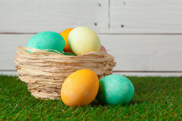 Easter eggs on green grass