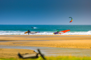 Wind and kite surfers