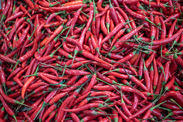 Fototapeta premium red chili peppers background