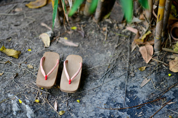 Wooden Geta Shoes, Japanese wooden clogs have space write words.