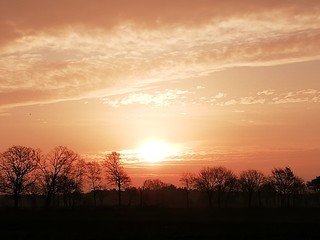 Fototapeta premium dig sunrise 