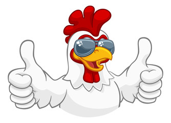 A chicken rooster cockerel bird cartoon character in cool shades or sunglasses giving a double thumbs up © Christos Georghiou