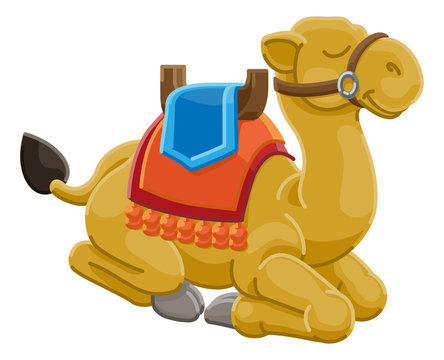 A camel cute animal cartoon character illustration