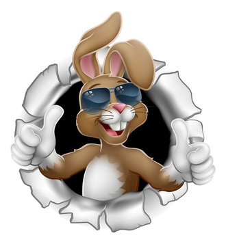 recommend clip art: Easter bunny rabbit cartoon character in cool sunglasses or shades breaking through the background and giving a thumbs up