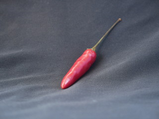 red chili pepper on black background