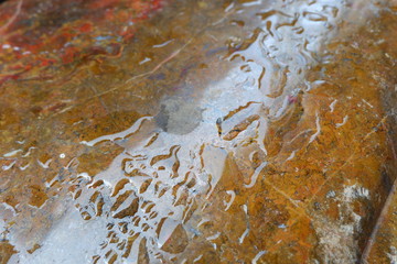 textures from fossilized wood