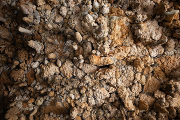 natural new stone stalagmite in cave