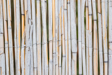 Fototapeta premium wood texture background with old panels