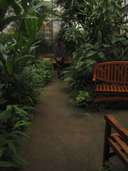 Obraz premium A Woman Walks in Nature