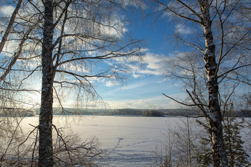 Wintry scenery through the branches.