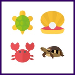 4 shell icon. Vector illustration shell set. crab and pearl icons for shell works